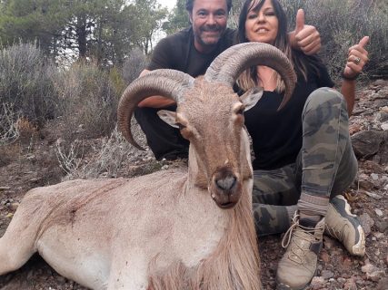 SUMMER,-VERY-GOOD-CHANCE-FOR-BARBARIES