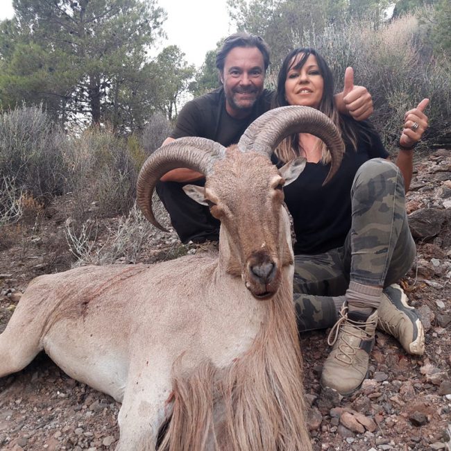 SUMMER,-VERY-GOOD-CHANCE-FOR-BARBARIES